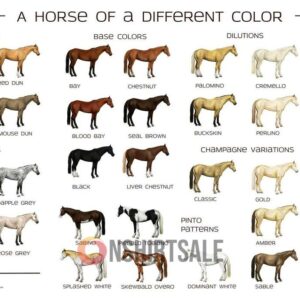 Horse Color Guide Poster, Comprehensive Chart of Horse Coat Colors and Patterns