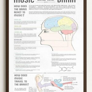 Music and the Brain Educational Poster Framed Neuroscience and Music Infographic Wall Art 1