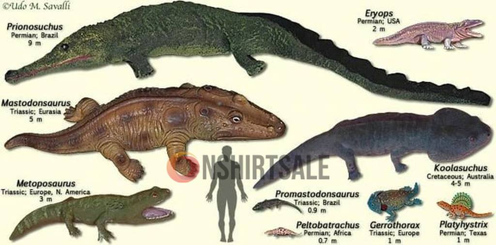 Prehistoric Amphibians and Crocodile Ancestors Poster , Triassic and Permian Era Species Illustrated Prehistoric Amphibians and Crocodile Ancestors Poster , Triassic and Permian Era Species Illustrated