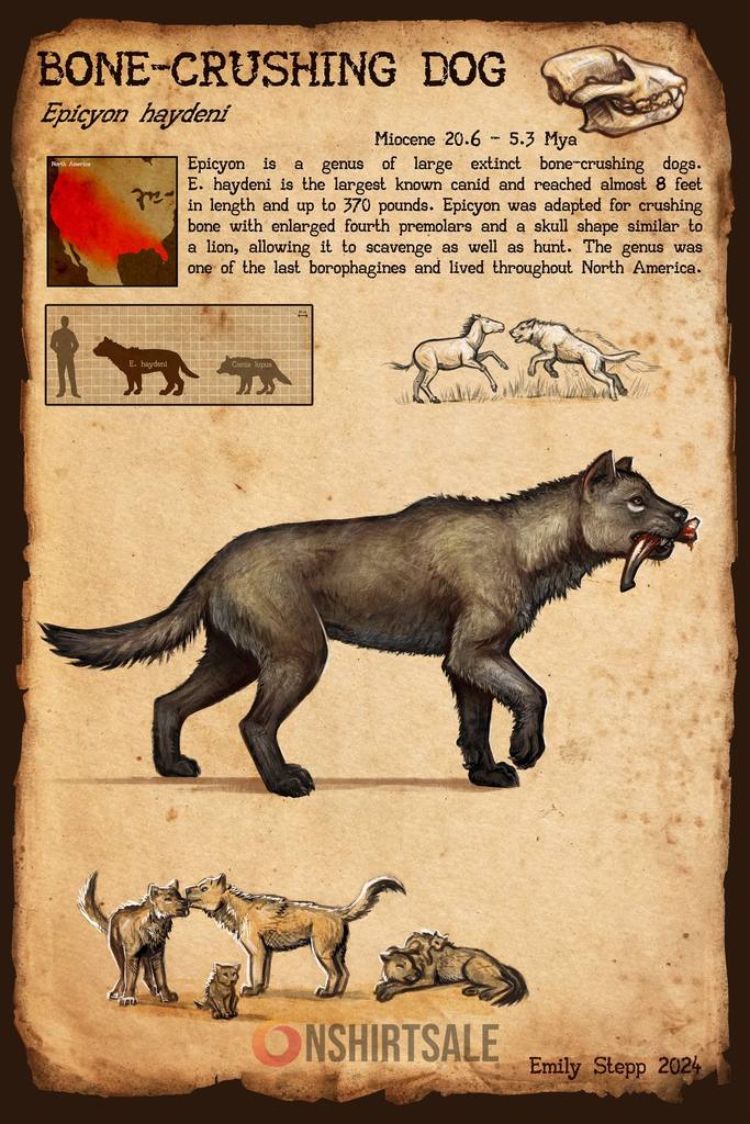 Bone Crushing Dog Poster, Extinct Epicynon Haydeni Prehistoric Canid Wall Art, Educational Paleontology Print Bone Crushing Dog Poster, Extinct Epicynon Haydeni Prehistoric Canid Wall Art, Educational Paleontology Print