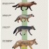 Funny Endangered Feces Poster, Save Our Endangered Feces Animal Parody Wall Art , Gag Gift for Bathroom or Office