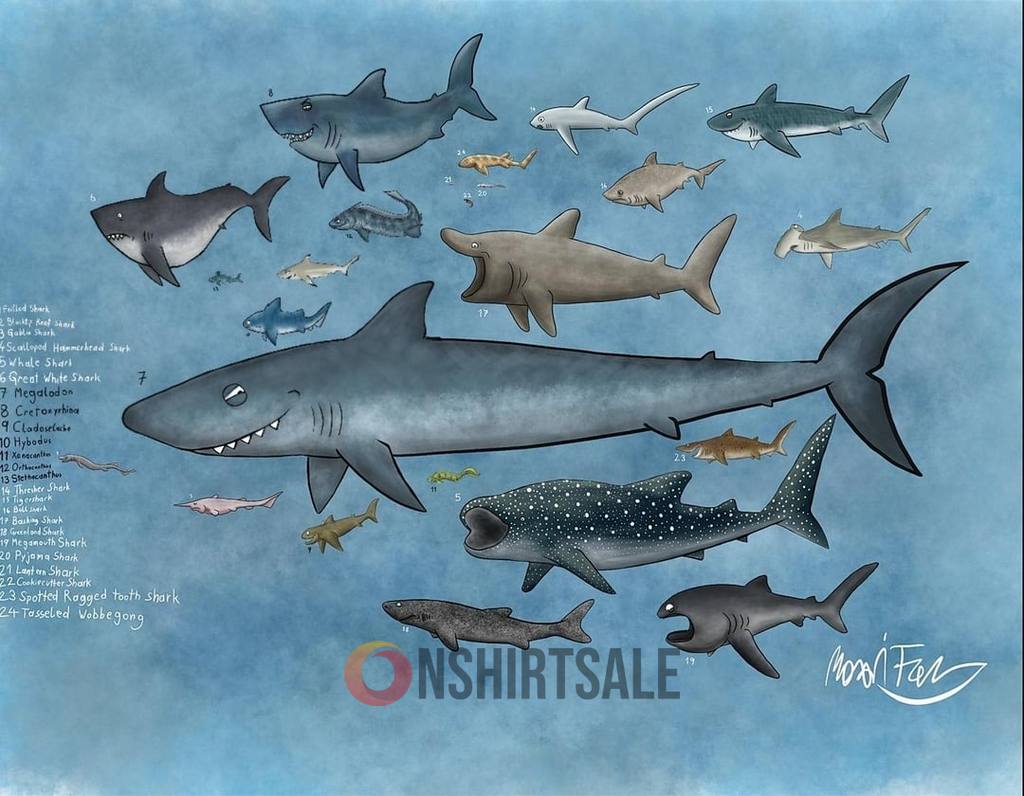 Shark Species Chart Poster, Guide to Various Shark Types with Scientific Names Shark Species Chart Poster, Guide to Various Shark Types with Scientific Names