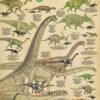 Sheep Breeds Poster, Guide to Suffolk, Cotswold, and Cameroon Sheep with Fun Facts Sheep Breeds Poster, Guide to Suffolk, Cotswold, and Cameroon Sheep with Fun Facts