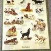 Vintage Camera Poster, A Visual Compendium of Cameras, Retro Photography Wall Art Gift for Photographers